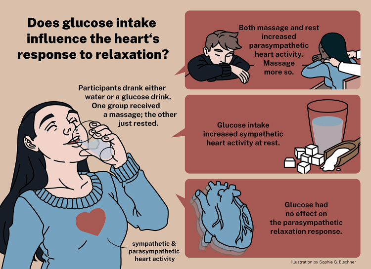 Sweet Touch Illustration English